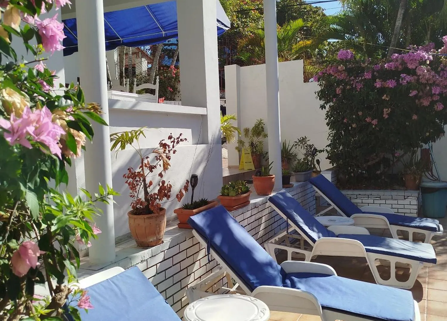 **  Hotel Casa Coco Boca Chica República Dominicana